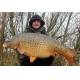 MIVARDI - Rapid Pop Up Reflex - Monster Crab (70 g | 18 mm)
